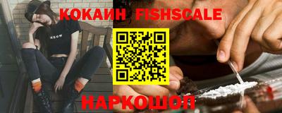 крисы Пенза