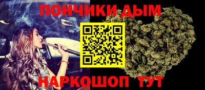 крисы Пенза