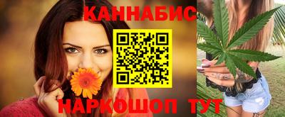 крисы Пенза