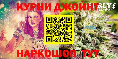 крисы Пенза
