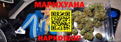 крисы Пенза