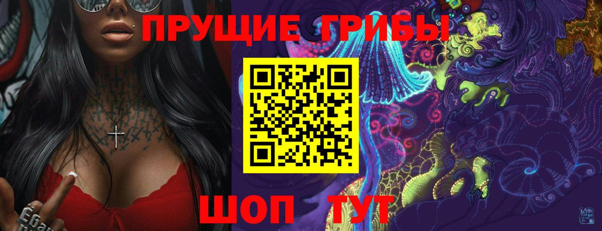 Орск  где купить наркотик  Вход с VPN  Галлюциногенные грибы мухоморы 