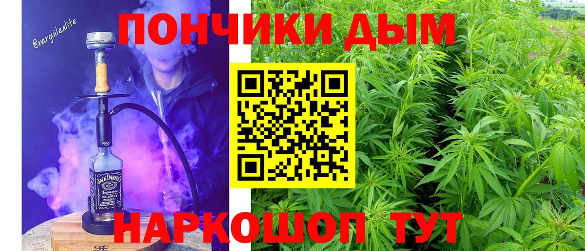 Шишки марихуана семена  Шишки марихуана план  Марихуана Ganja  Шишки марихуана ГИДРОПОН  Вход с VPN  Орск 