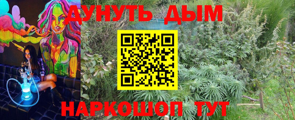 Конопля SATIVA & INDICA Орск